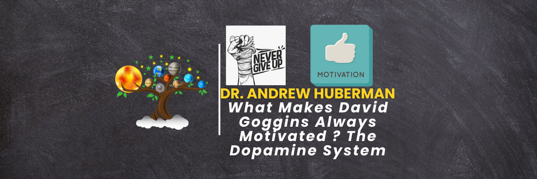 What Makes David Goggins Always Motivated ? The Dopamine System(Dr. Andrew Huberman) Learn with Tree